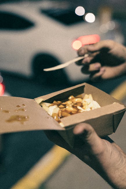 Brisket Poutine Large