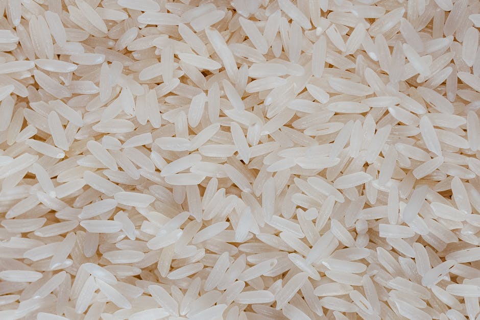 Jasmine Rice