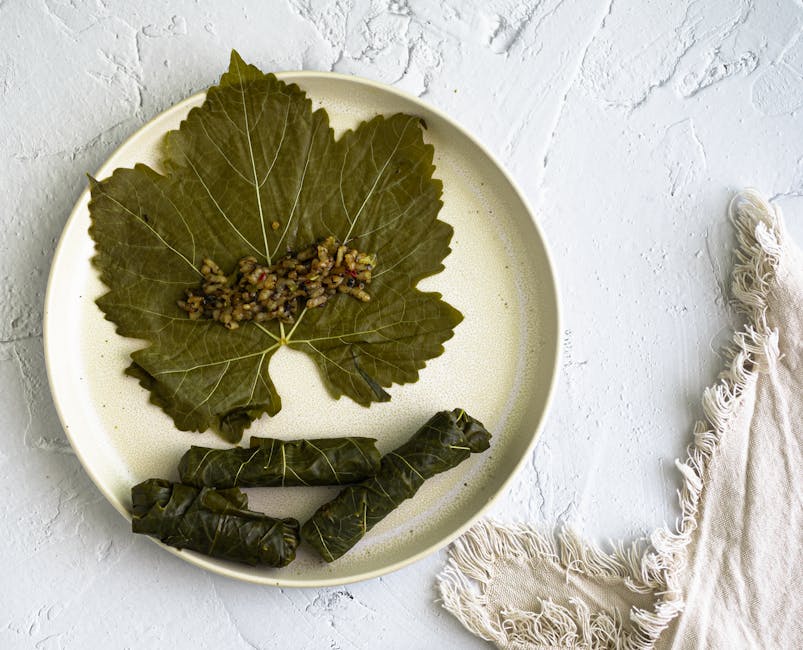 Stuffed Grape Leaves (5pc)